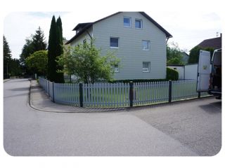 Merlin glatt 001.JPG