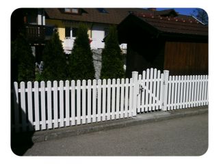 Merlin glatt 013.JPG