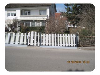 Merlin glatt 007.JPG