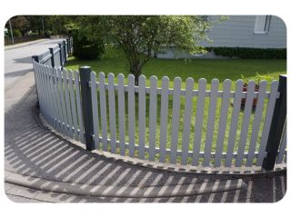 Merlin glatt 002.JPG