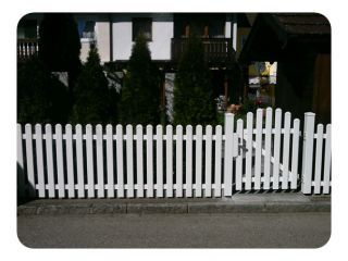 Merlin glatt 014.JPG