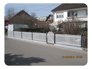 Merlin glatt 009.JPG