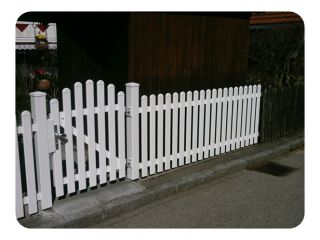 Merlin glatt 011.JPG