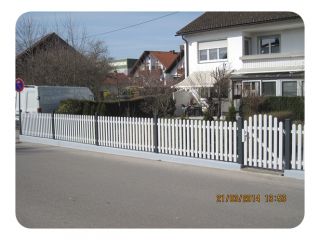 Merlin glatt 010.JPG