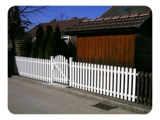 Merlin glatt 012.JPG