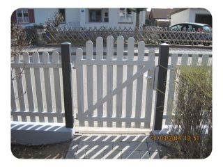 Merlin glatt 006.JPG